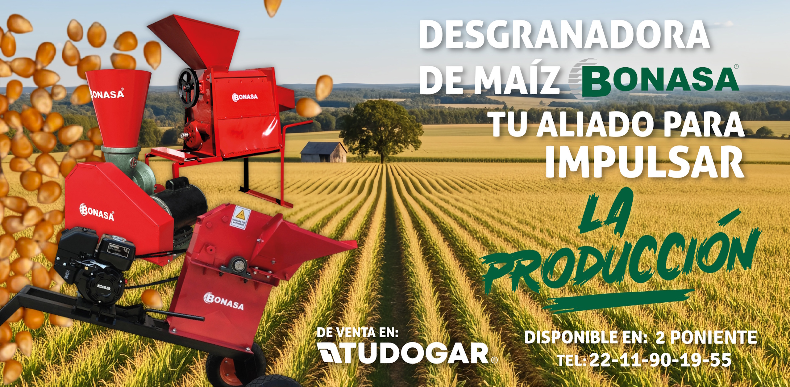 BANNERS PPAGINAWEB-19