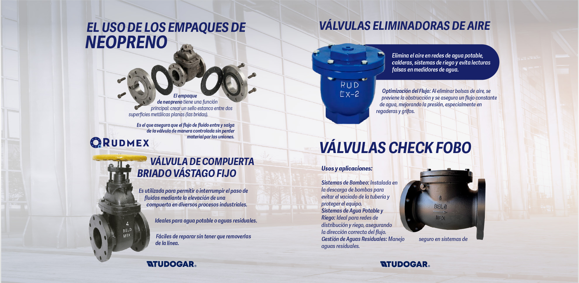 BANNERS PPAGINAWEB-33